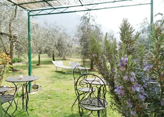 Agriturismo Conca Sandra - Farm Stay On Lake Como