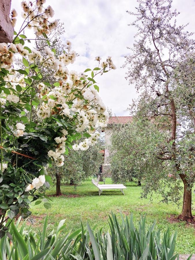 Appartamento Conca Sandra - Farm On Perledo